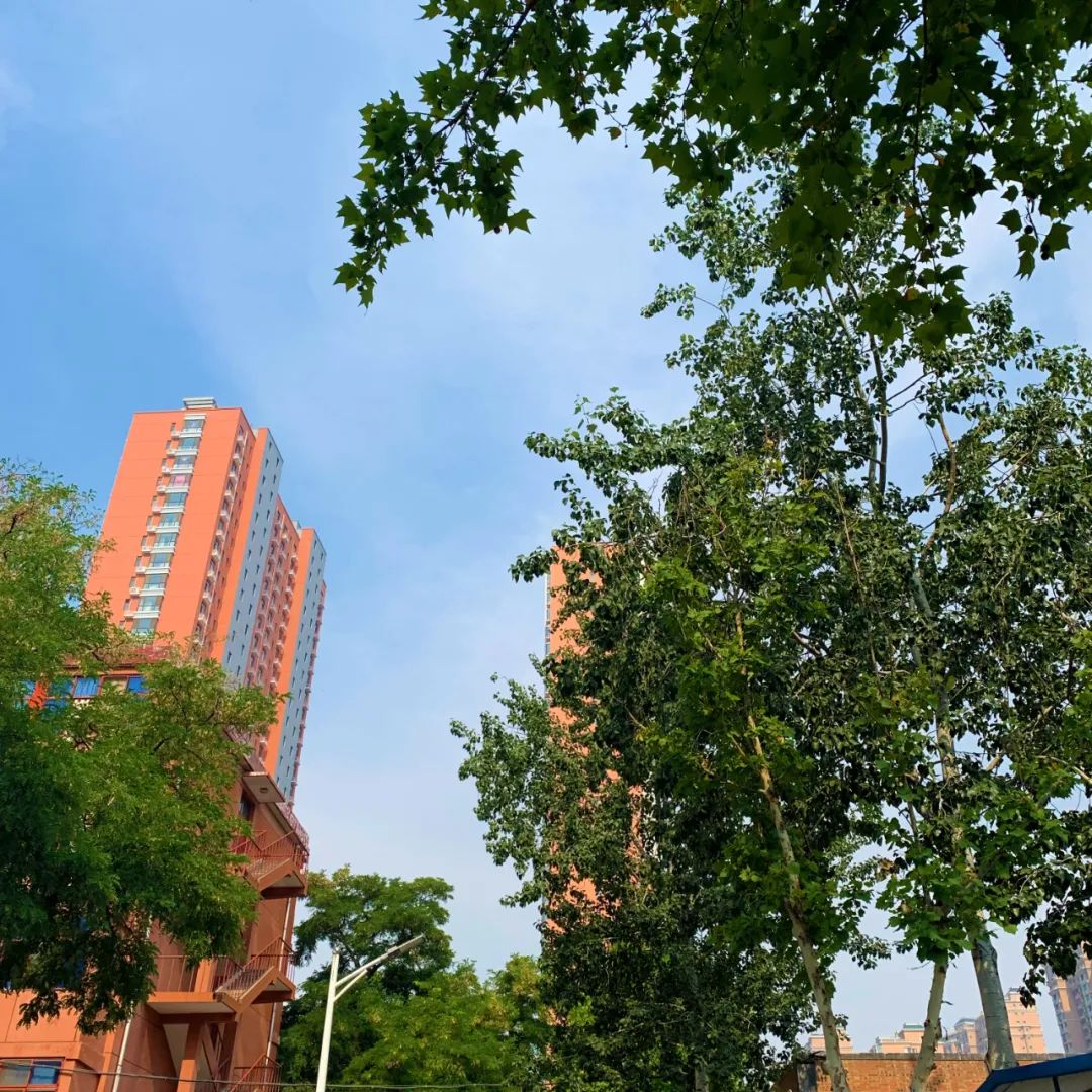 完整社区该怎么建？ 来听专家观点，探地方实践(图1)