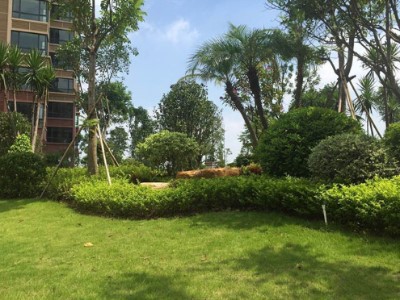 园林建设(图1)